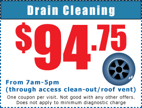 drain cleaning coupon